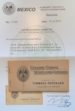 Image of a MEPSI expertization certificate